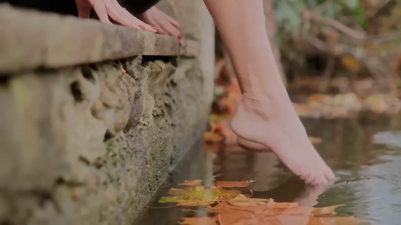 Bare feet in the Thames at the river's edge, autumn leaves on the water