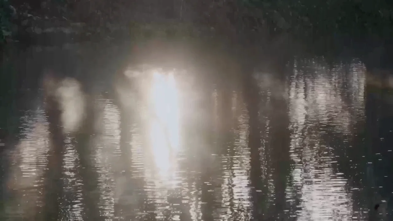 Sunlight breaking on the surface of the river, still frame from the Club's own hero film
